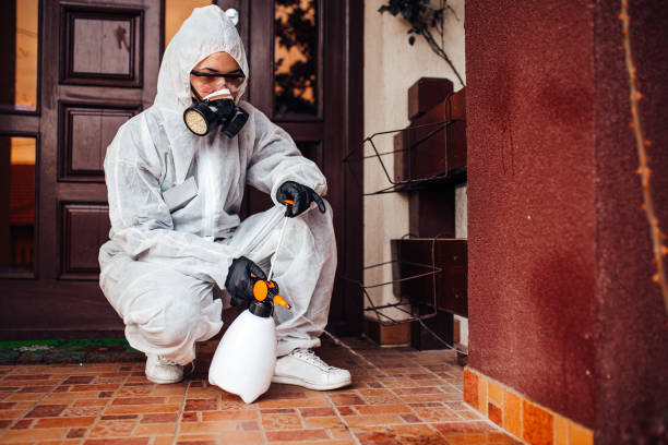Attic and Crawl Space Rodent Treatment in Eagle